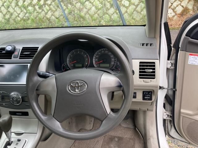 16265419