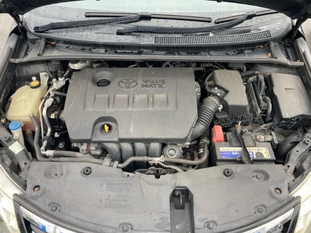 16265431