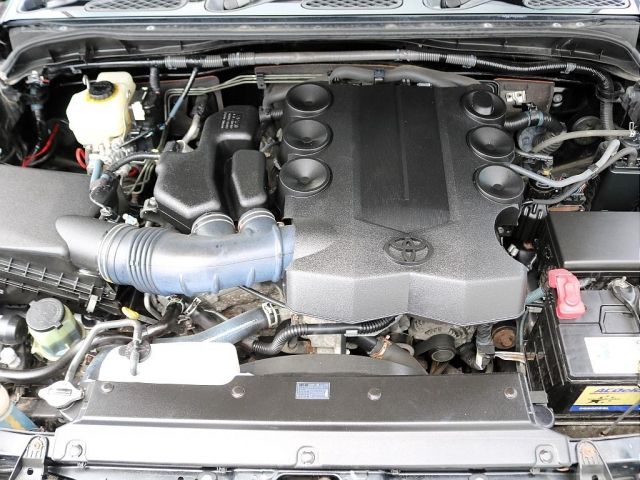16265469