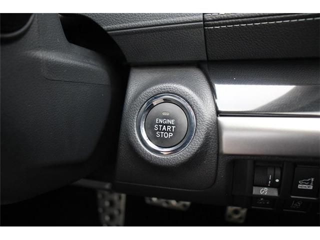 16265582