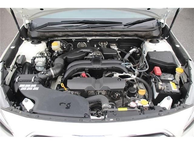 16265582