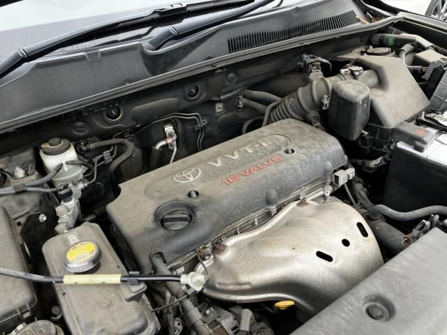 16265745