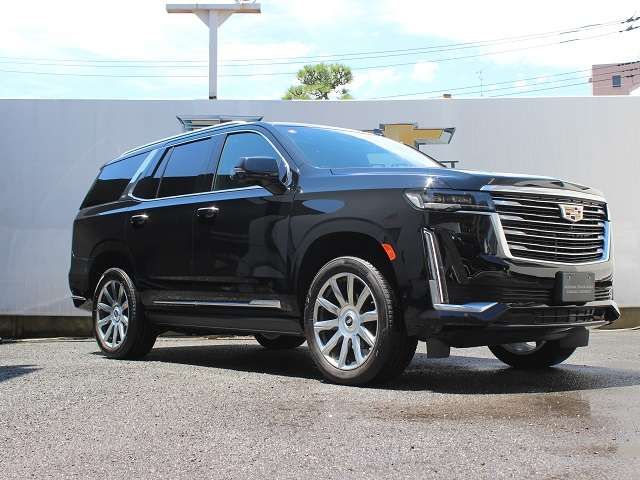 16362554