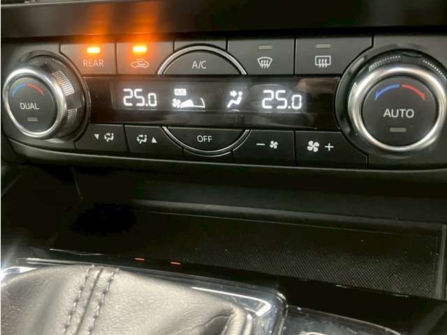 16362884