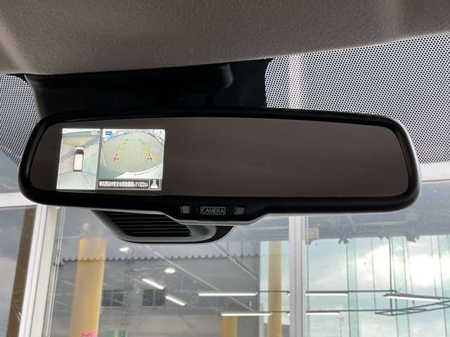 16362981