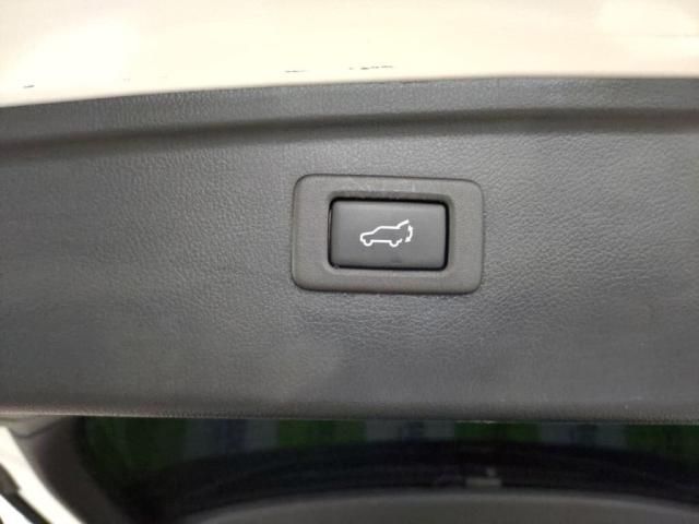 16365003