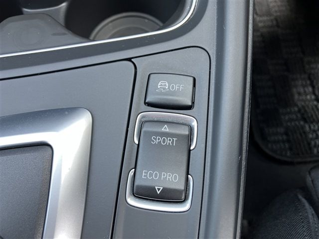16365591