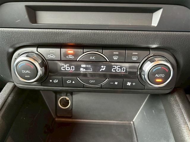 16365595