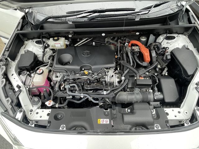 16450086