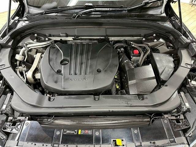 16461529