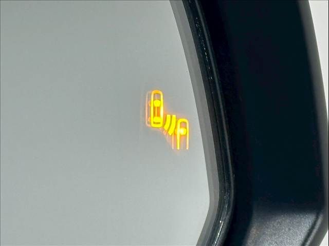 16461548