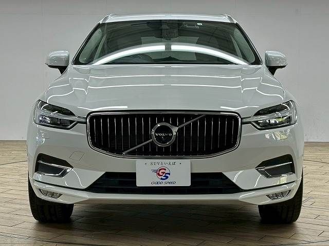 16462605