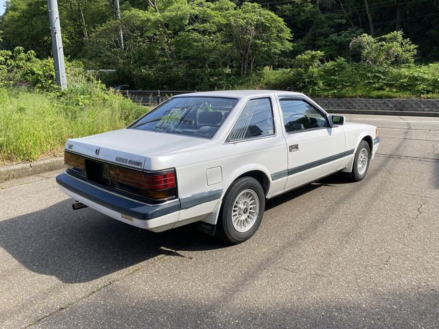16465571