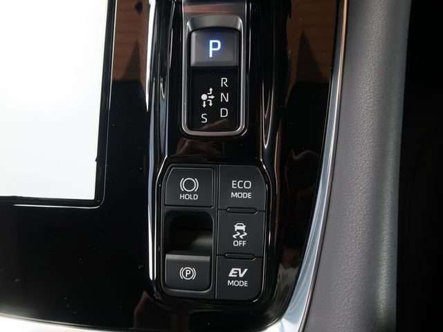 16550017