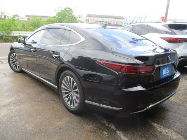 16550084