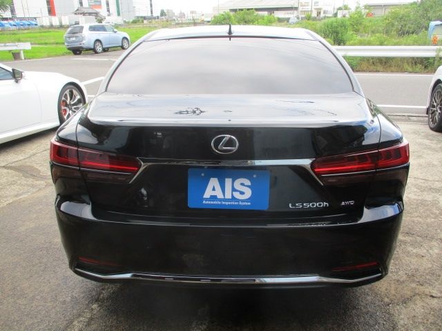16550084