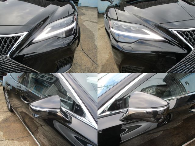 16550084