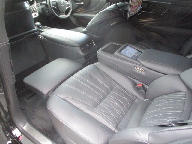 16550084