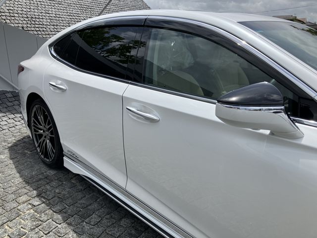 16550293