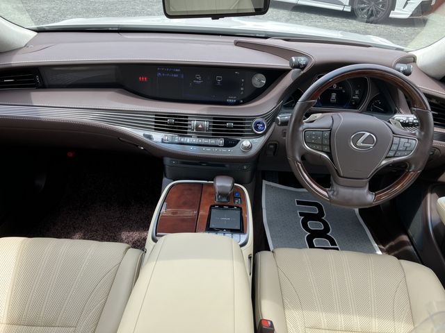 16550293