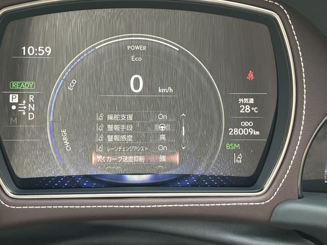 16550293
