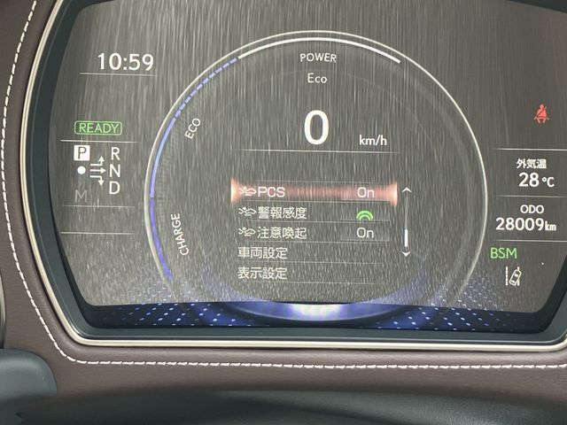 16550293