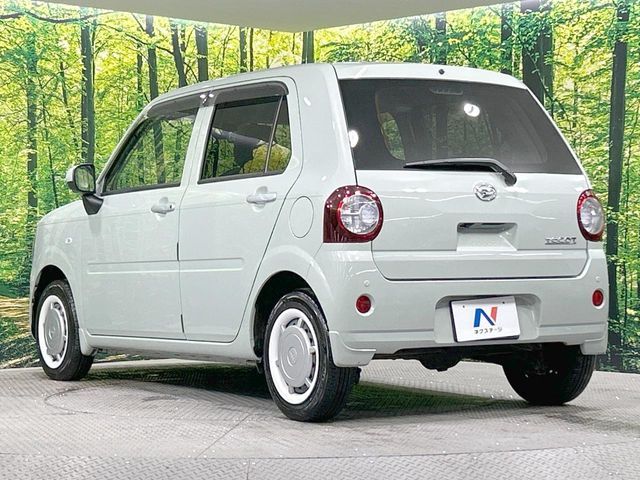 16560528