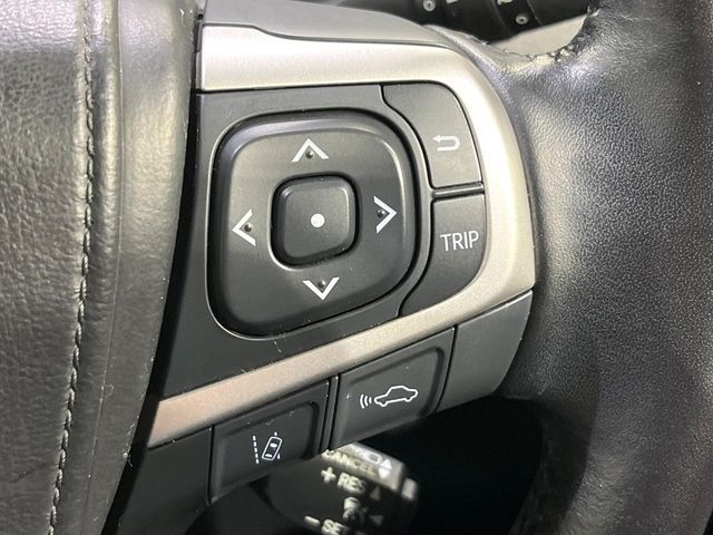16560709