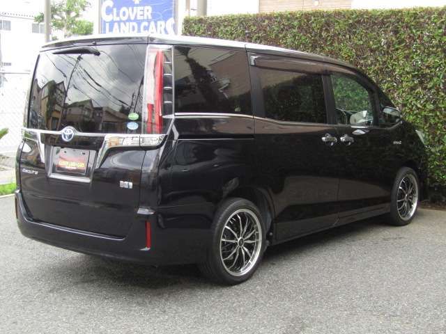 16561391