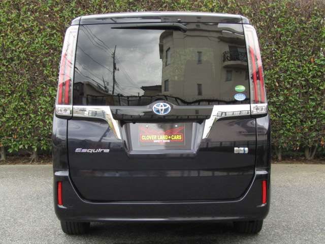 16561391