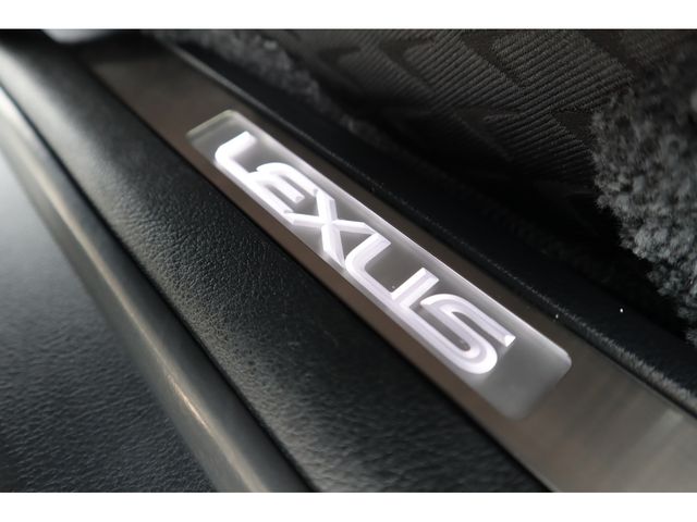 16562109