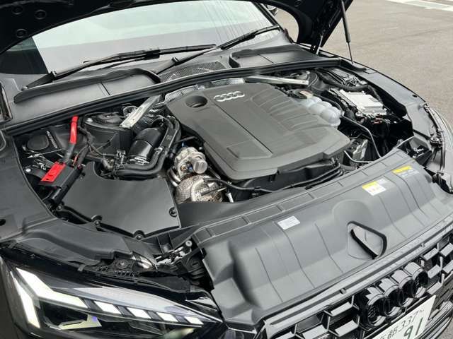 16566246