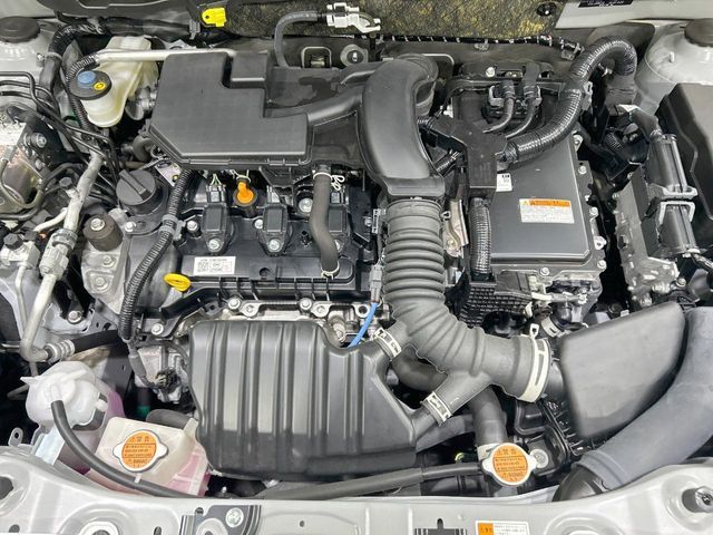 16566340
