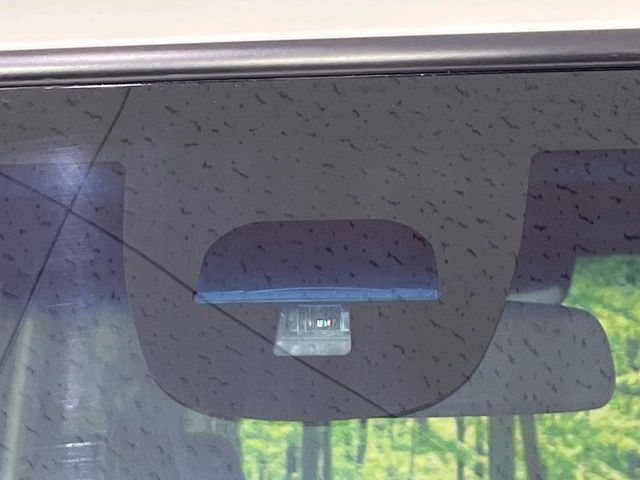 16566398