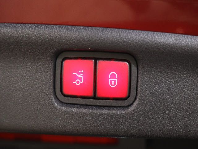 16590041