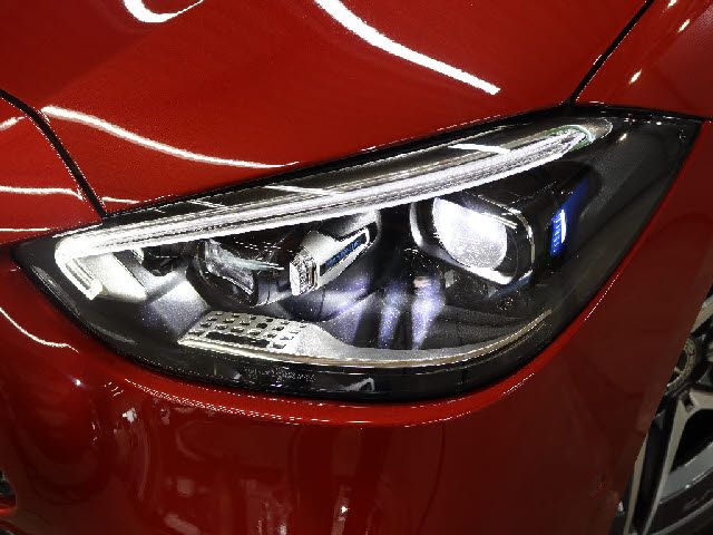 16590041