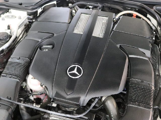 16590048