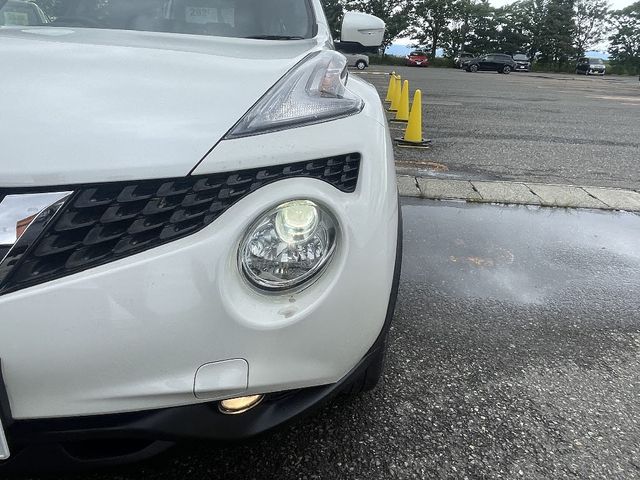 16650091