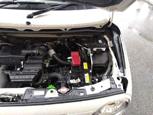 16650100