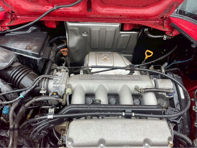 16650259