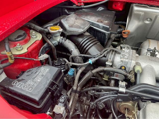 16650259