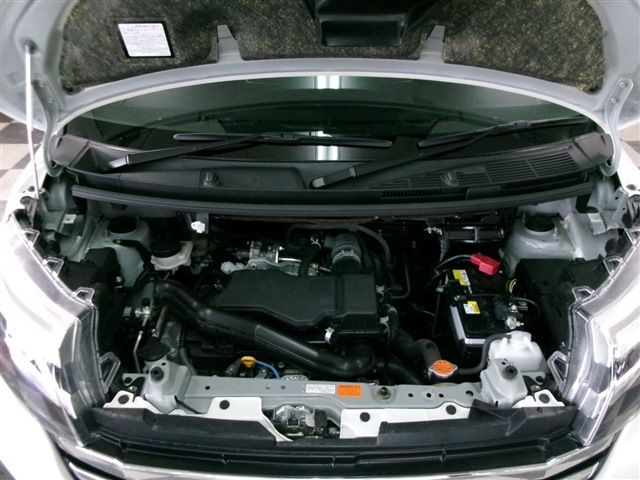16666109