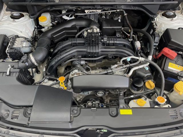16860812