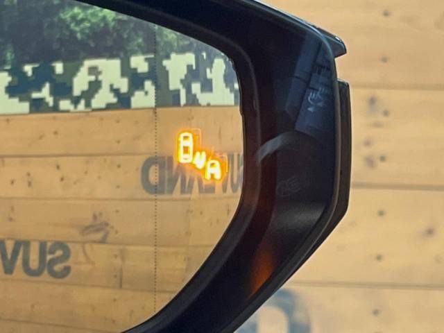 16861934