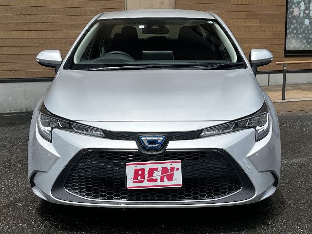16865161