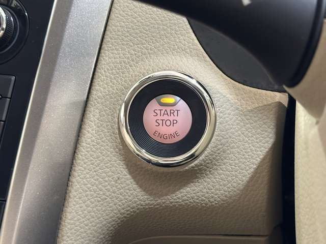 16900033
