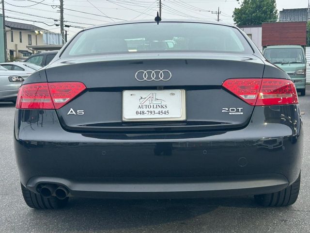 16950083