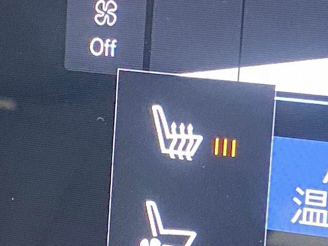 17160393