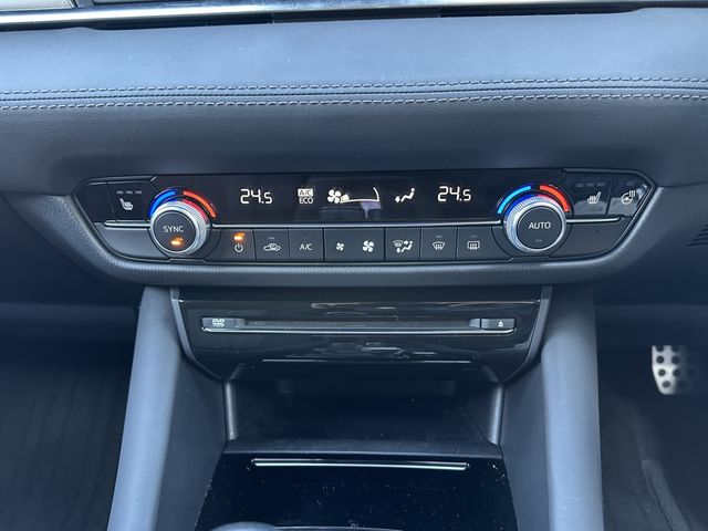 17162502