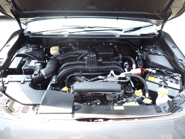 17165974